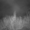 Webcam_20210218-054500