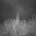 Webcam_20210218-060000