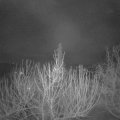 Webcam_20210218-061500