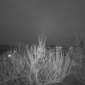 Webcam_20210218-183000