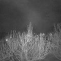 Webcam_20210218-190000