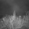 Webcam_20210218-193000
