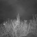 Webcam_20210219-210000