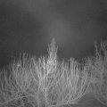 Webcam_20210220-050000