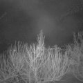 Webcam_20210220-051500