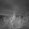 Webcam_20210220-061500