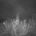 Webcam_20210220-184500