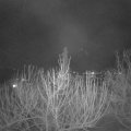 Webcam_20210220-201500