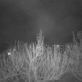 Webcam_20210220-203000