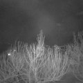 Webcam_20210220-211500
