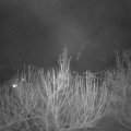 Webcam_20210220-213000