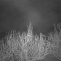 Webcam_20210221-053000