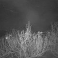 Webcam_20210221-190000