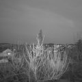 Webcam_20210222-183000