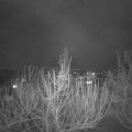 Webcam_20210222-193000