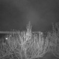 Webcam_20210222-201500