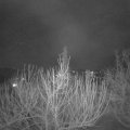 Webcam_20210222-220000