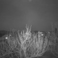 Webcam_20210223-184500