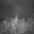 Webcam_20210223-194500