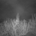 Webcam_20210225-051500