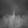 Webcam_20210225-053000