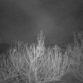 Webcam_20210225-060000