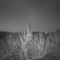 Webcam_20210225-061500