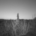 Webcam_20210225-063000