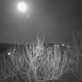 Webcam_20210225-190000