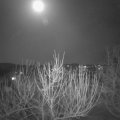 Webcam_20210225-191500