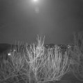 Webcam_20210225-194500