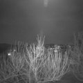 Webcam_20210225-203000