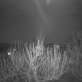 Webcam_20210225-204500