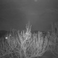 Webcam_20210225-210000
