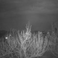 Webcam_20210225-211500