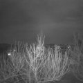 Webcam_20210225-213000