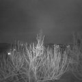 Webcam_20210225-214500