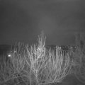 Webcam_20210225-220000