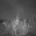 Webcam_20210228-190000