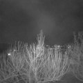 Webcam_20210228-191500