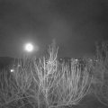 Webcam_20210228-204500
