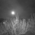 Webcam_20210228-211500
