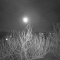 Webcam_20210228-213000