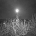 Webcam_20210228-214500