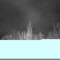 Webcam_20210301-050000