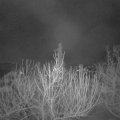 Webcam_20210301-051500