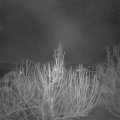 Webcam_20210301-053000
