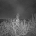 Webcam_20210301-054500