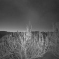 Webcam_20210301-060000