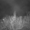 Webcam_20210301-193000